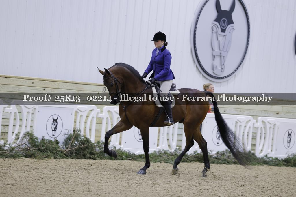 Proof Number 25R13_02214