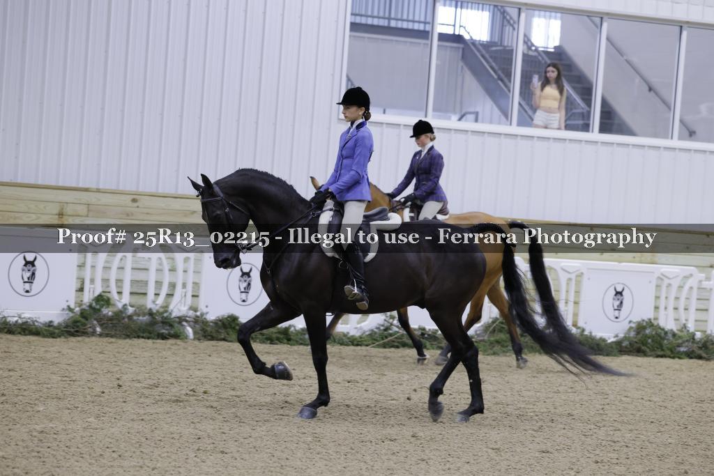Proof Number 25R13_02215