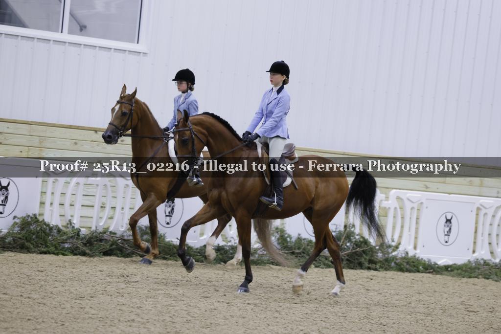 Proof Number 25R13_02216