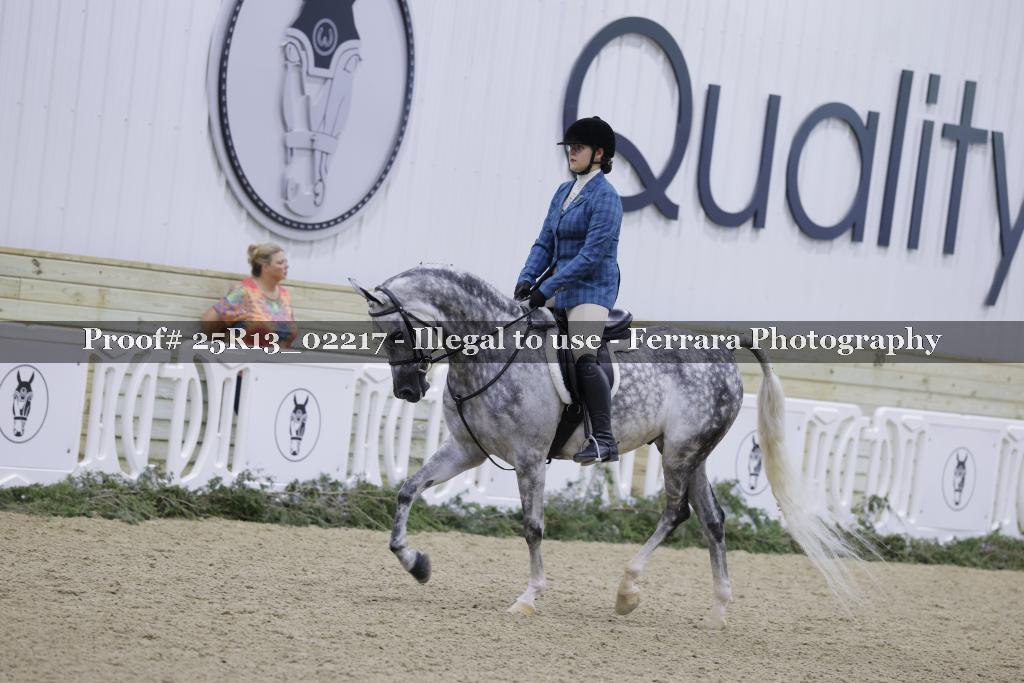Proof Number 25R13_02217