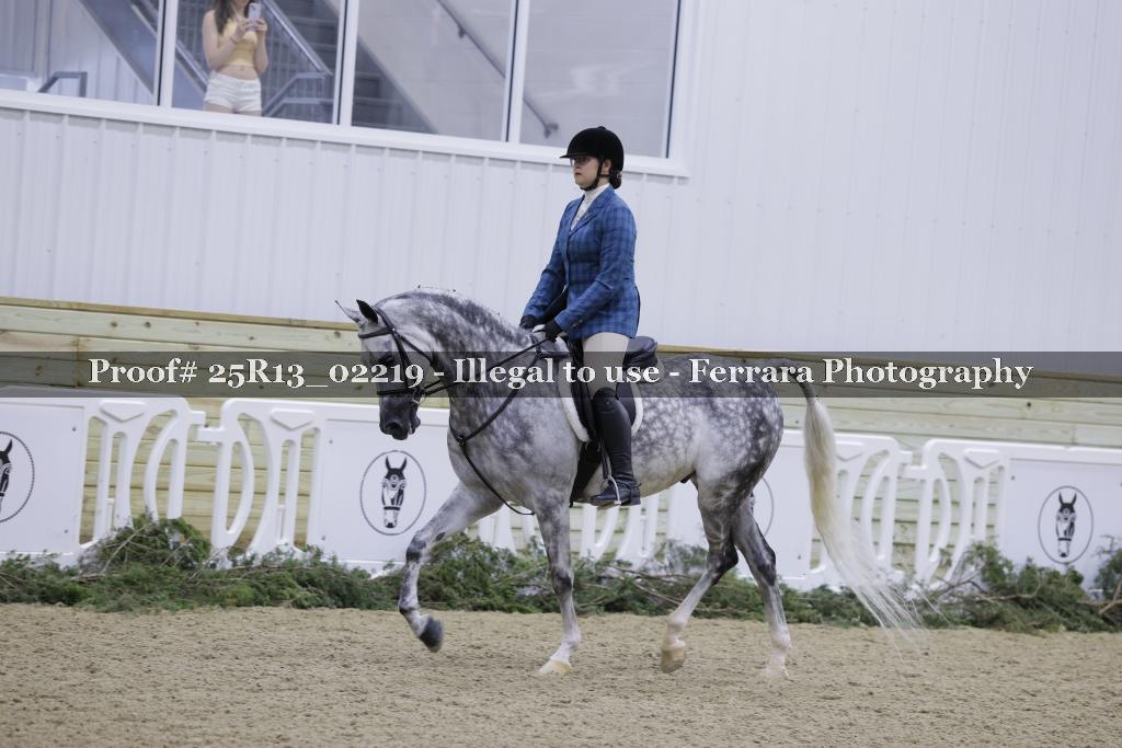 Proof Number 25R13_02219