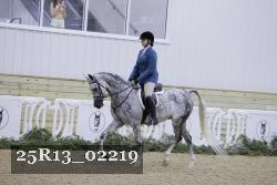 25R13_02219 thumbnail