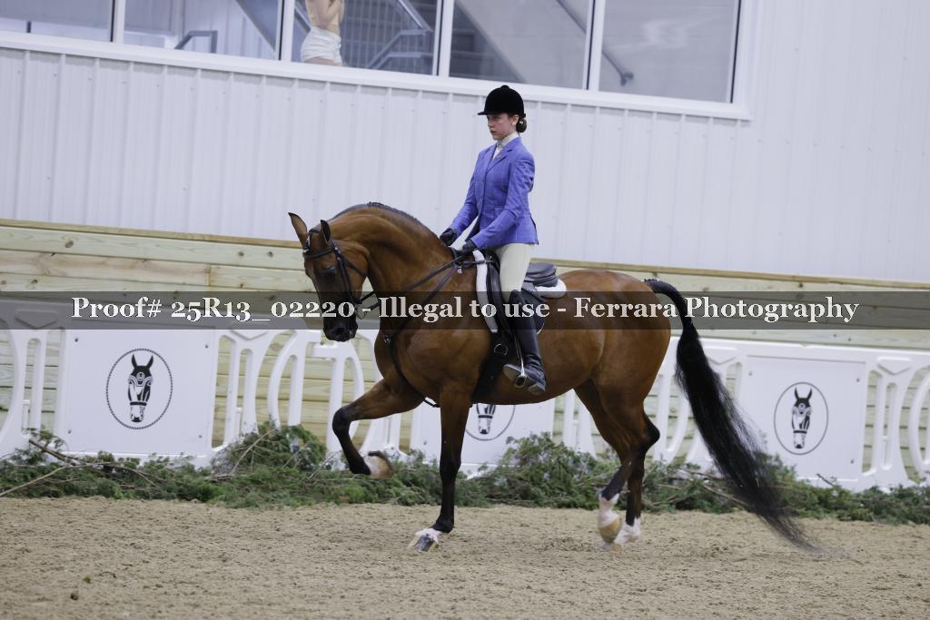 Proof Number 25R13_02220