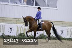 25R13_02220 thumbnail