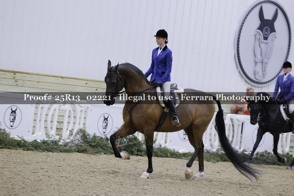Proof Number 25R13_02221
