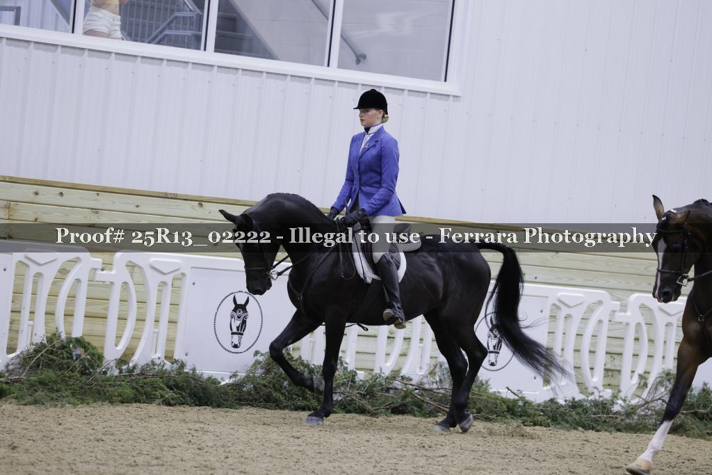 Proof Number 25R13_02222