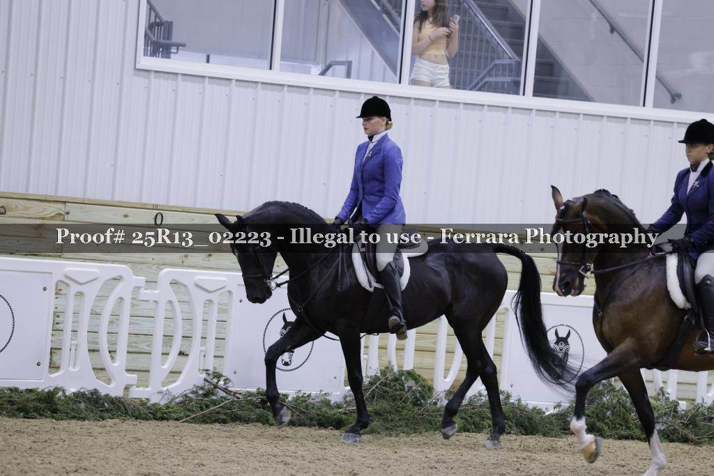 Proof Number 25R13_02223