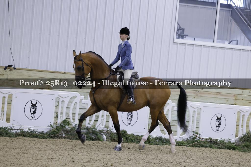 Proof Number 25R13_02224