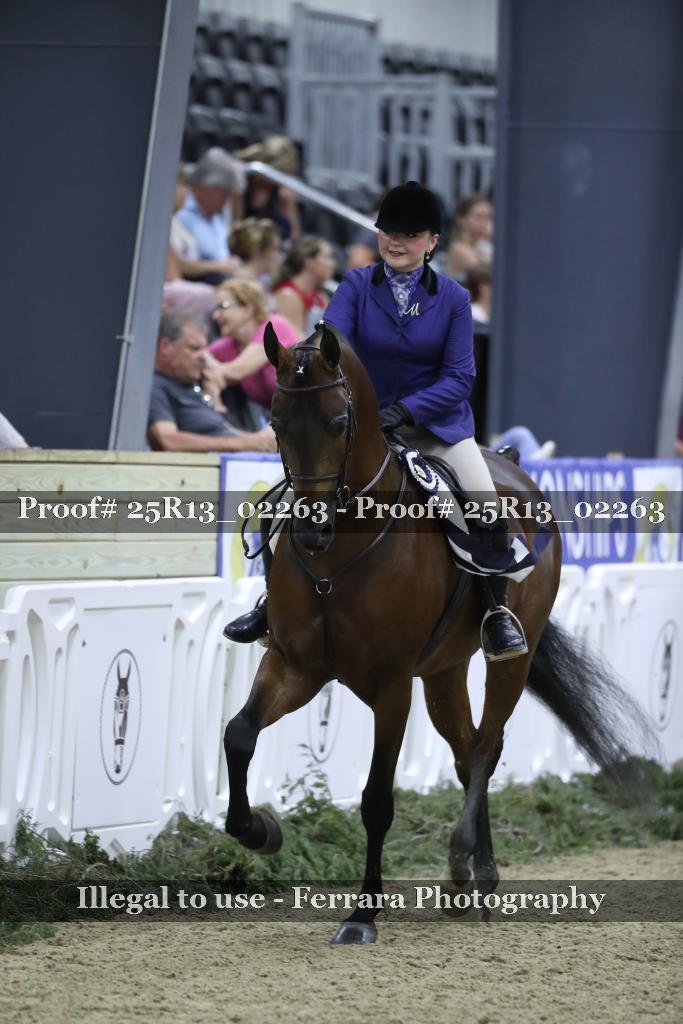 Proof Number 25R13_02263