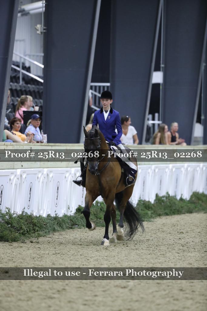 Proof Number 25R13_02268