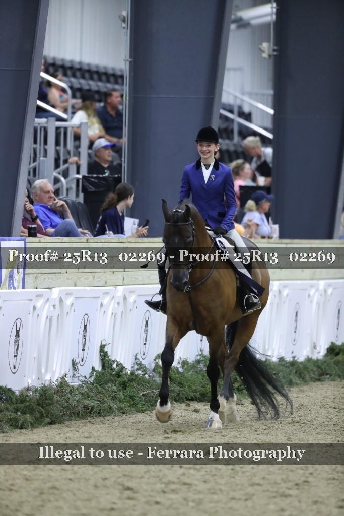 Proof Number 25R13_02269