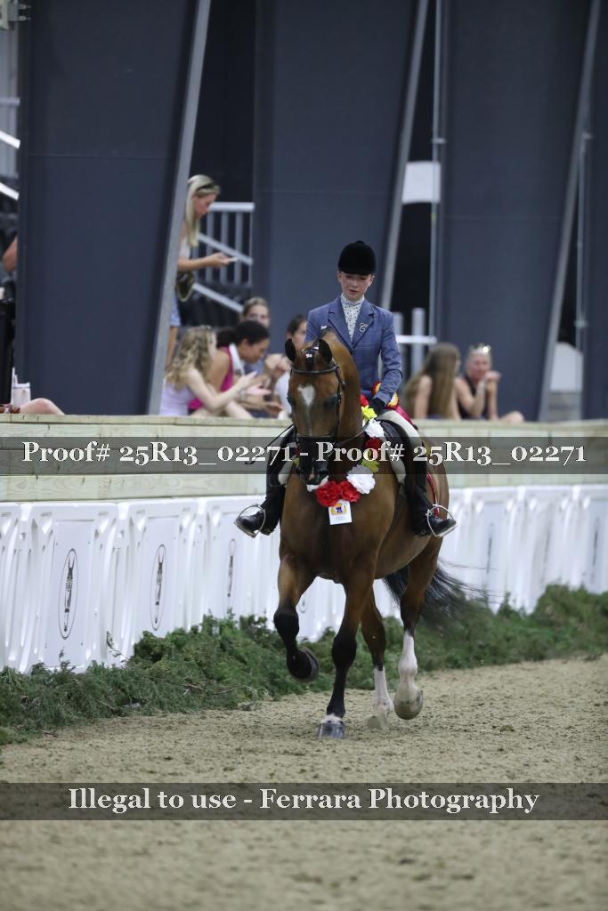 Proof Number 25R13_02271