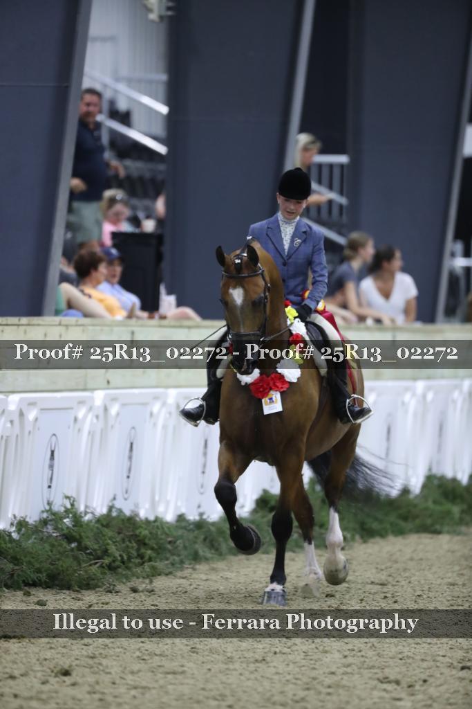 Proof Number 25R13_02272