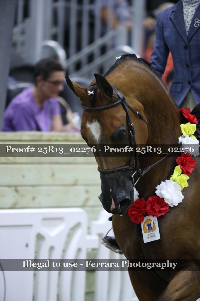 Proof Number 25R13_02276