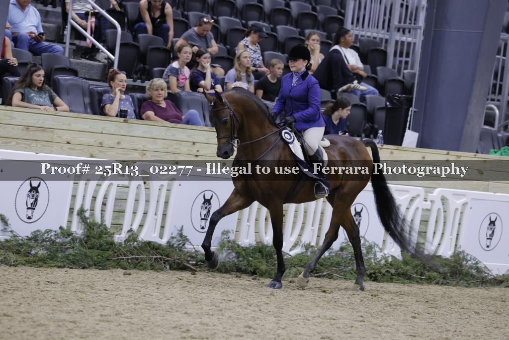 Proof Number 25R13_02277