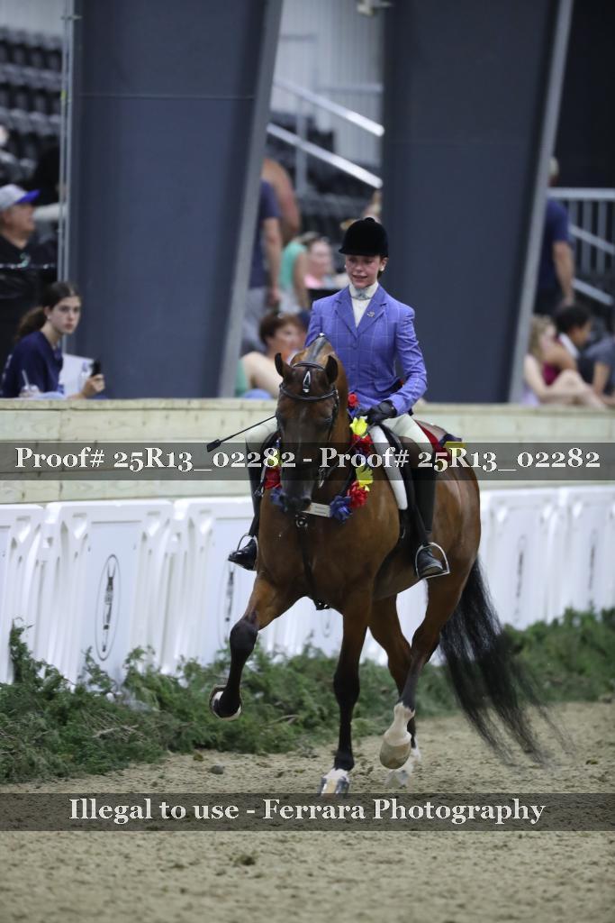 Proof Number 25R13_02282