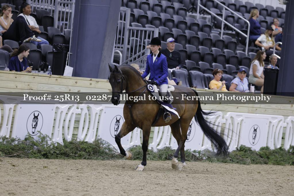 Proof Number 25R13_02287