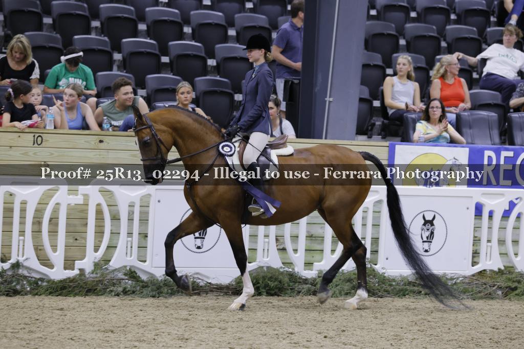 Proof Number 25R13_02294