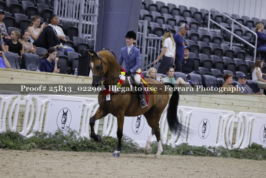 Proof Number 25R13_02296