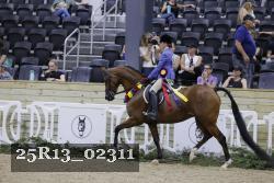 25R13_02311 thumbnail