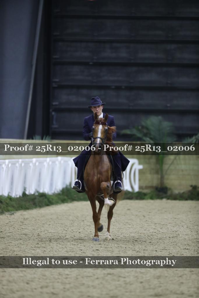 Proof Number 25R13_02006