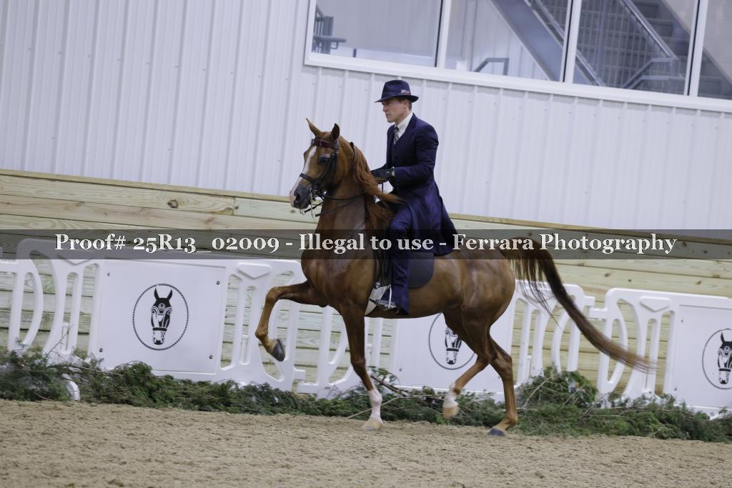Proof Number 25R13_02009
