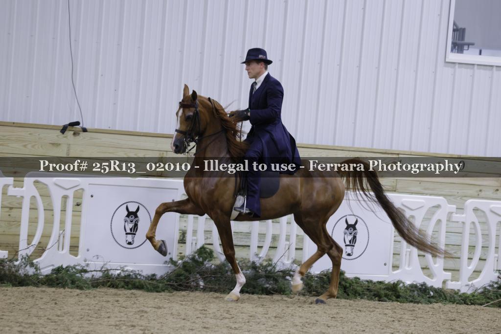 Proof Number 25R13_02010