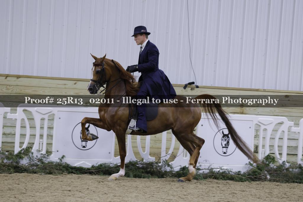 Proof Number 25R13_02011