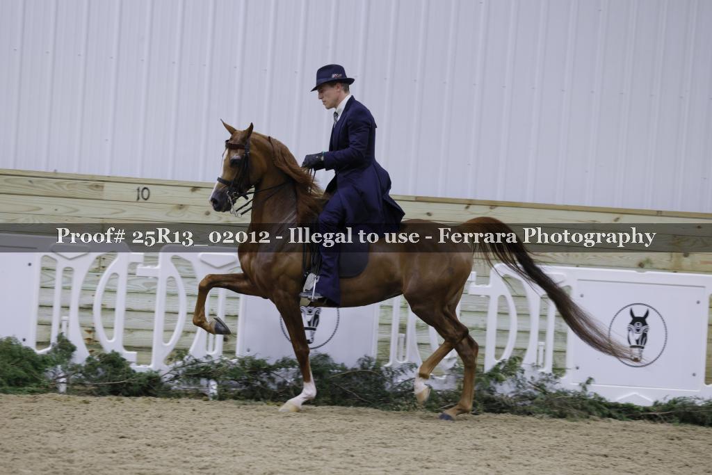 Proof Number 25R13_02012