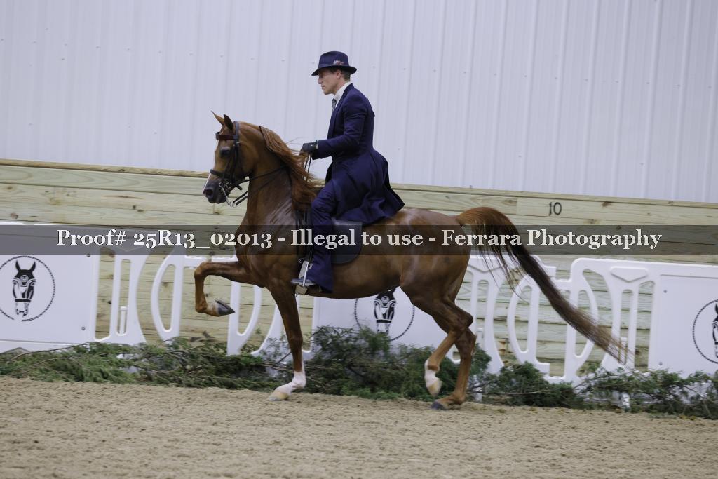 Proof Number 25R13_02013