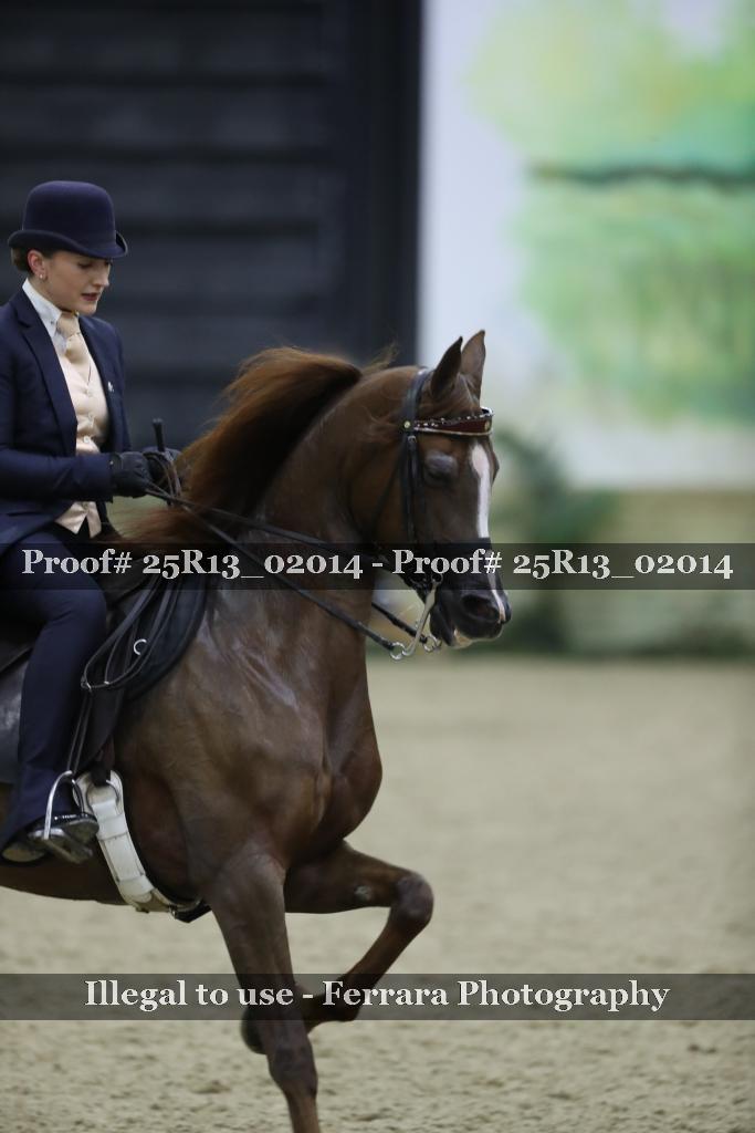 Proof Number 25R13_02014