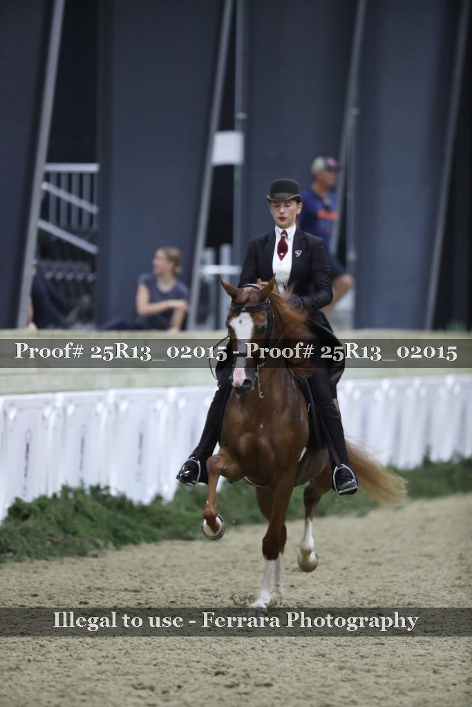 Proof Number 25R13_02015