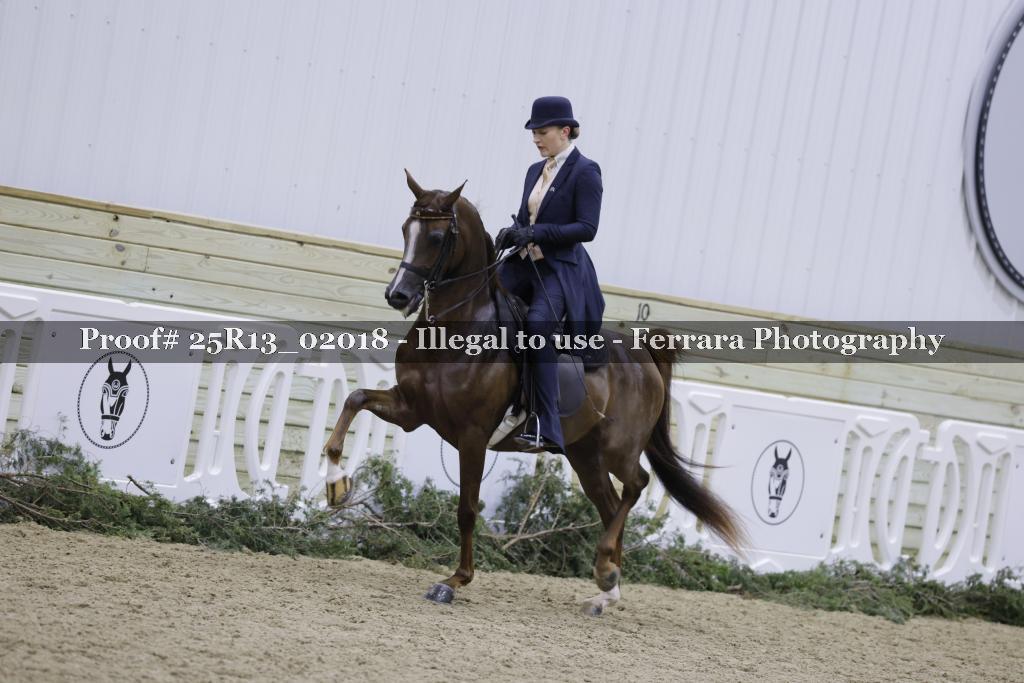 Proof Number 25R13_02018