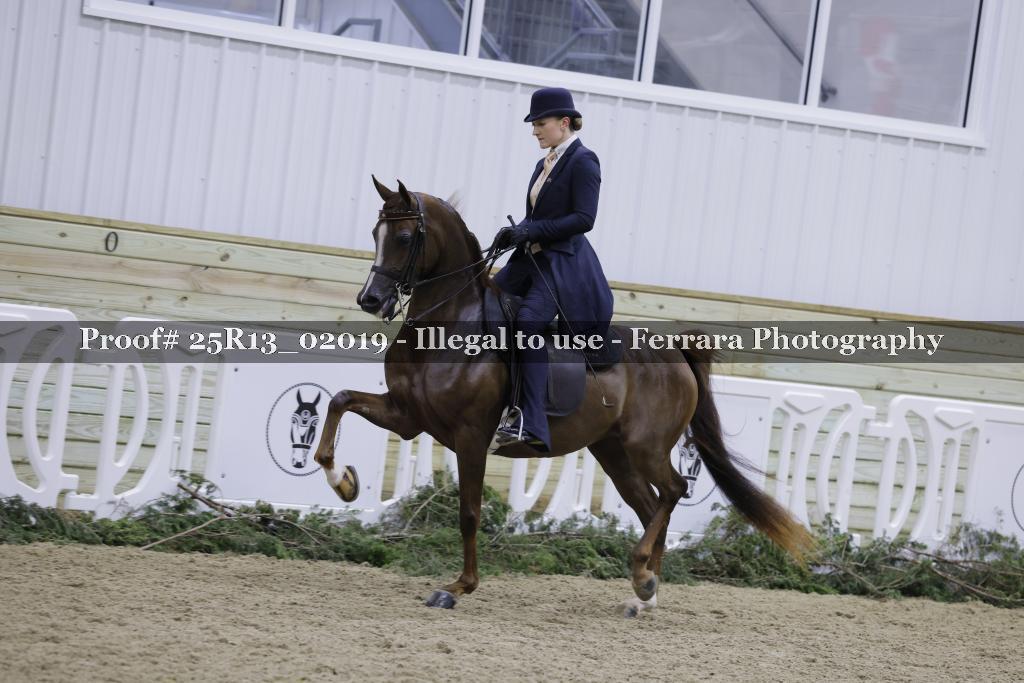 Proof Number 25R13_02019