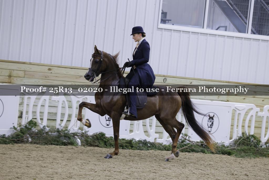 Proof Number 25R13_02020
