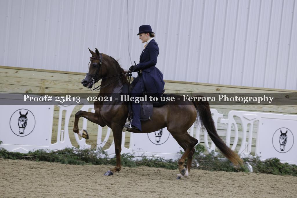 Proof Number 25R13_02021
