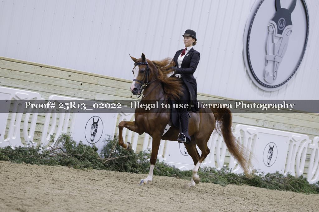 Proof Number 25R13_02022