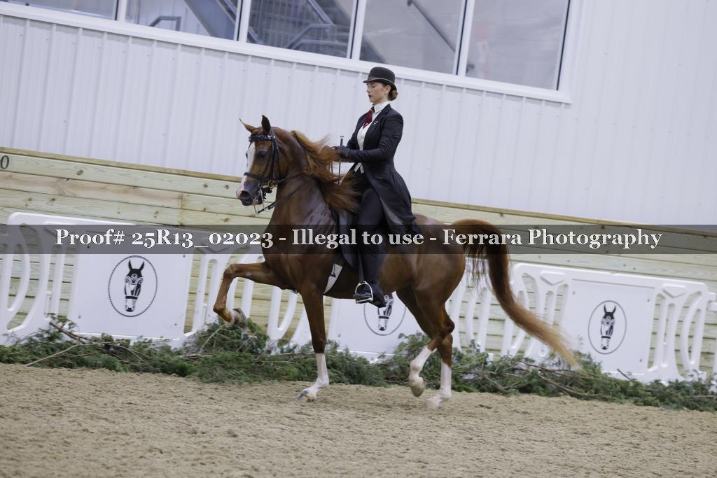 Proof Number 25R13_02023