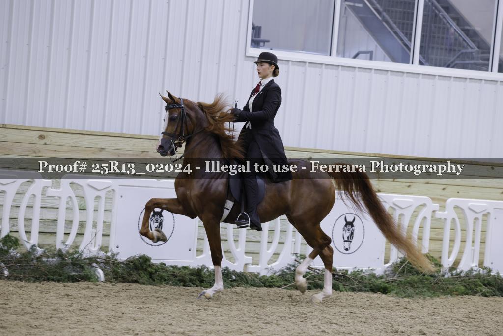 Proof Number 25R13_02024