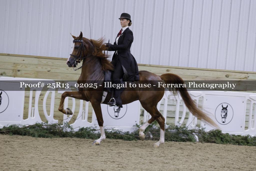 Proof Number 25R13_02025