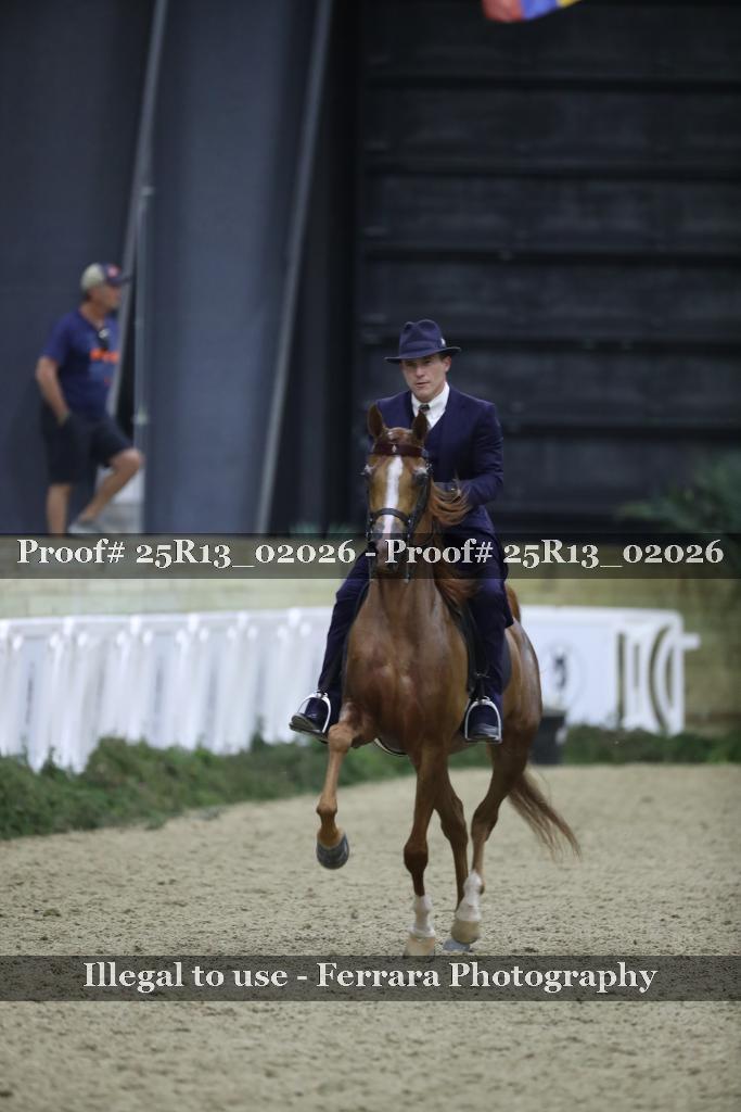 Proof Number 25R13_02026