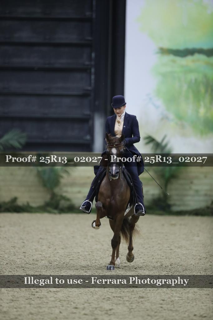 Proof Number 25R13_02027
