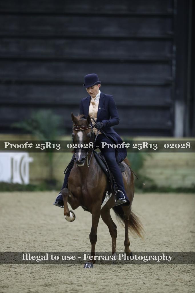 Proof Number 25R13_02028