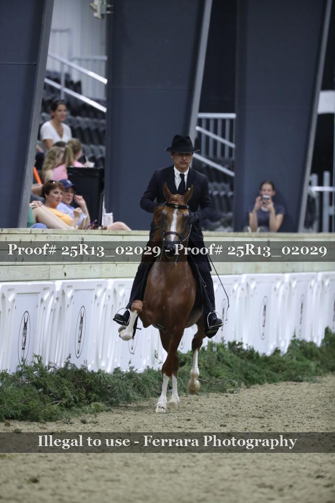 Proof Number 25R13_02029