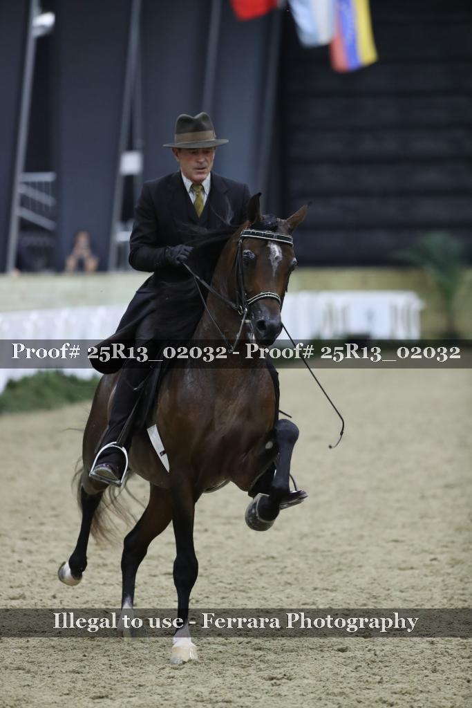 Proof Number 25R13_02032