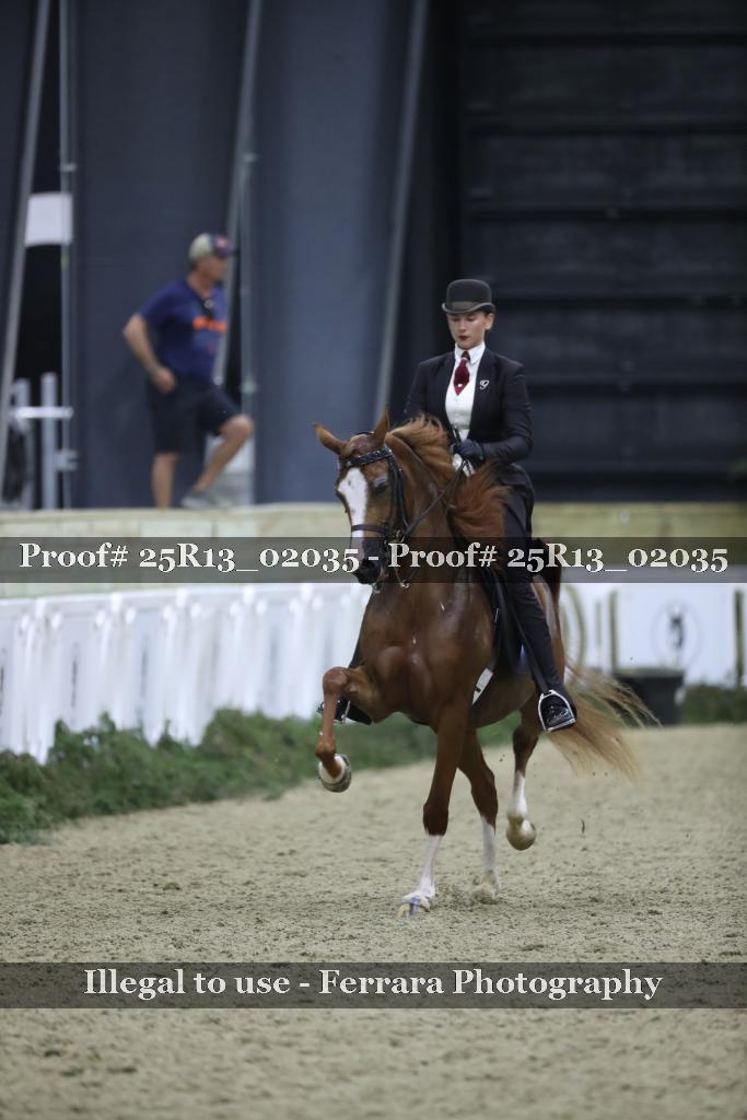 Proof Number 25R13_02035