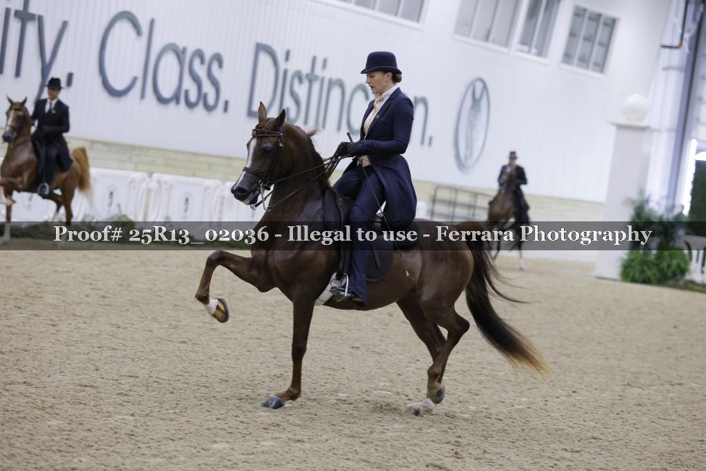 Proof Number 25R13_02036