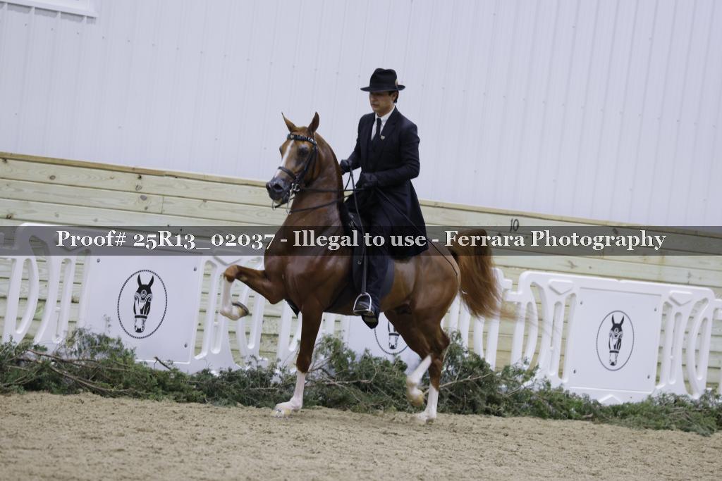 Proof Number 25R13_02037