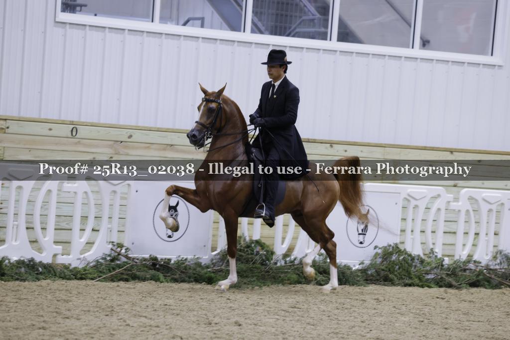 Proof Number 25R13_02038