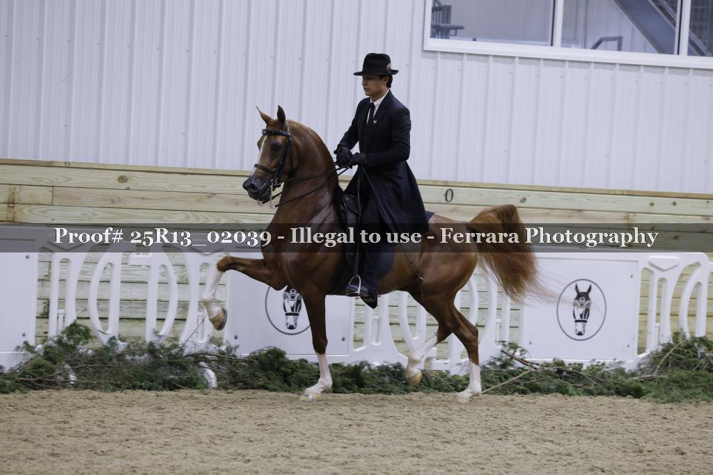 Proof Number 25R13_02039